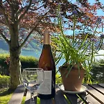 Spectacular Fjord Getaway - The Forge