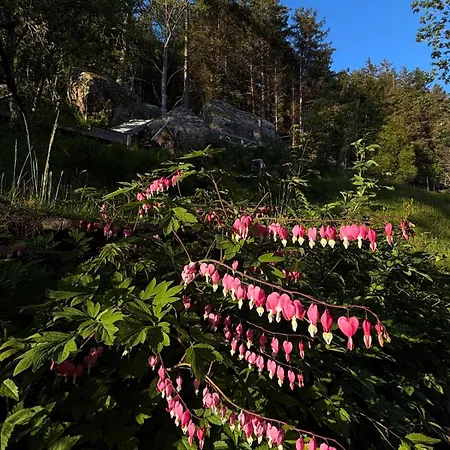 Spectacular Fjord Getaway - The Forge Lejlighed *