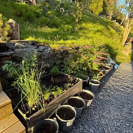 Leilighet Spectacular Fjord Getaway - The Forge *